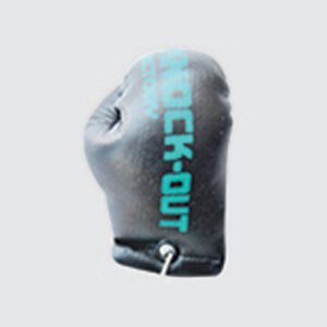 Boxing Gloves BG-023