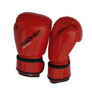 Boxing Gloves BG-012