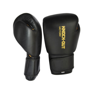 Boxing Gloves BG-014