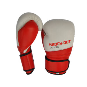 Boxing Gloves BG-015