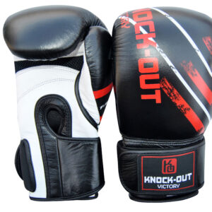 Boxing Gloves BG-019