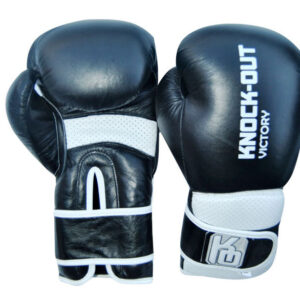 Boxing Gloves BG-022